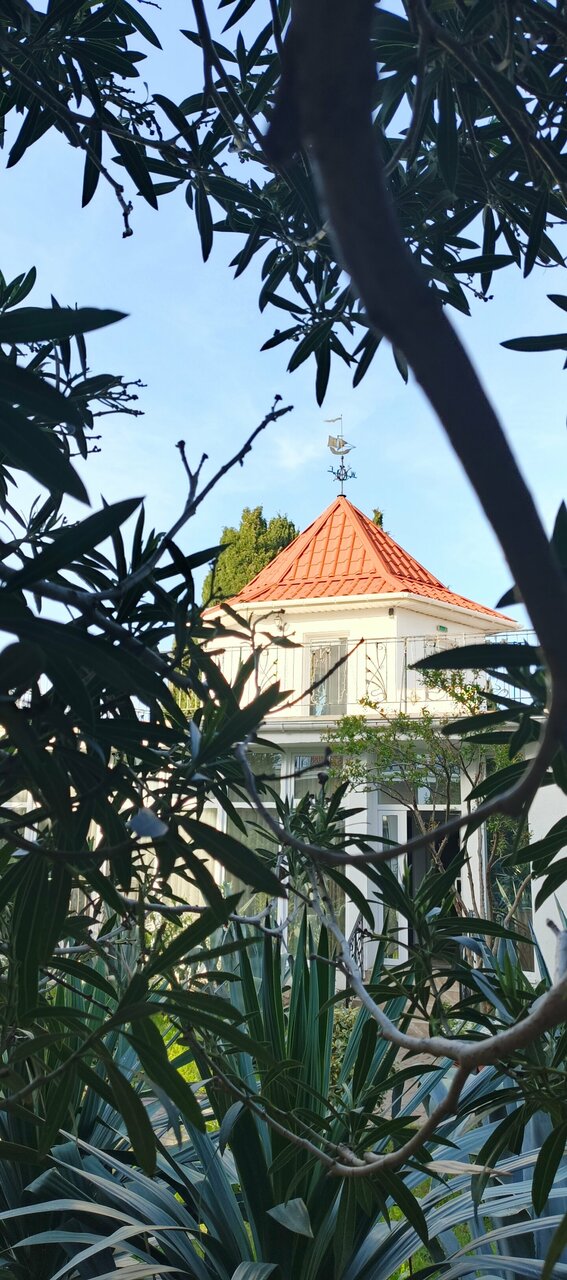 Гостевой дом Онейро Алупка-237