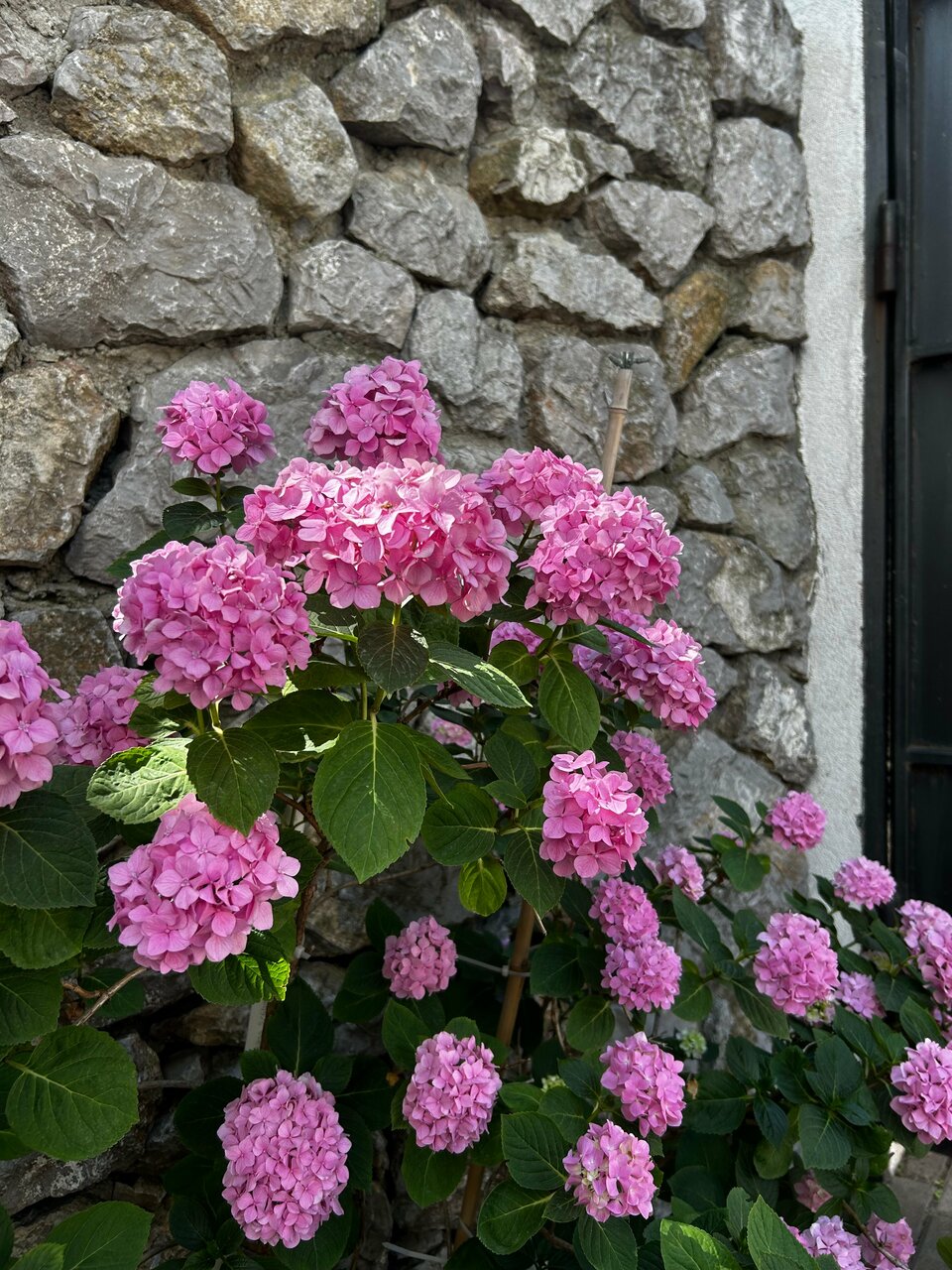 Гостевой дом Онейро Алупка-209