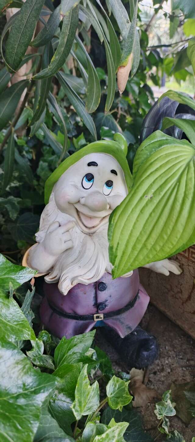 Гостевой дом Онейро Алупка-214