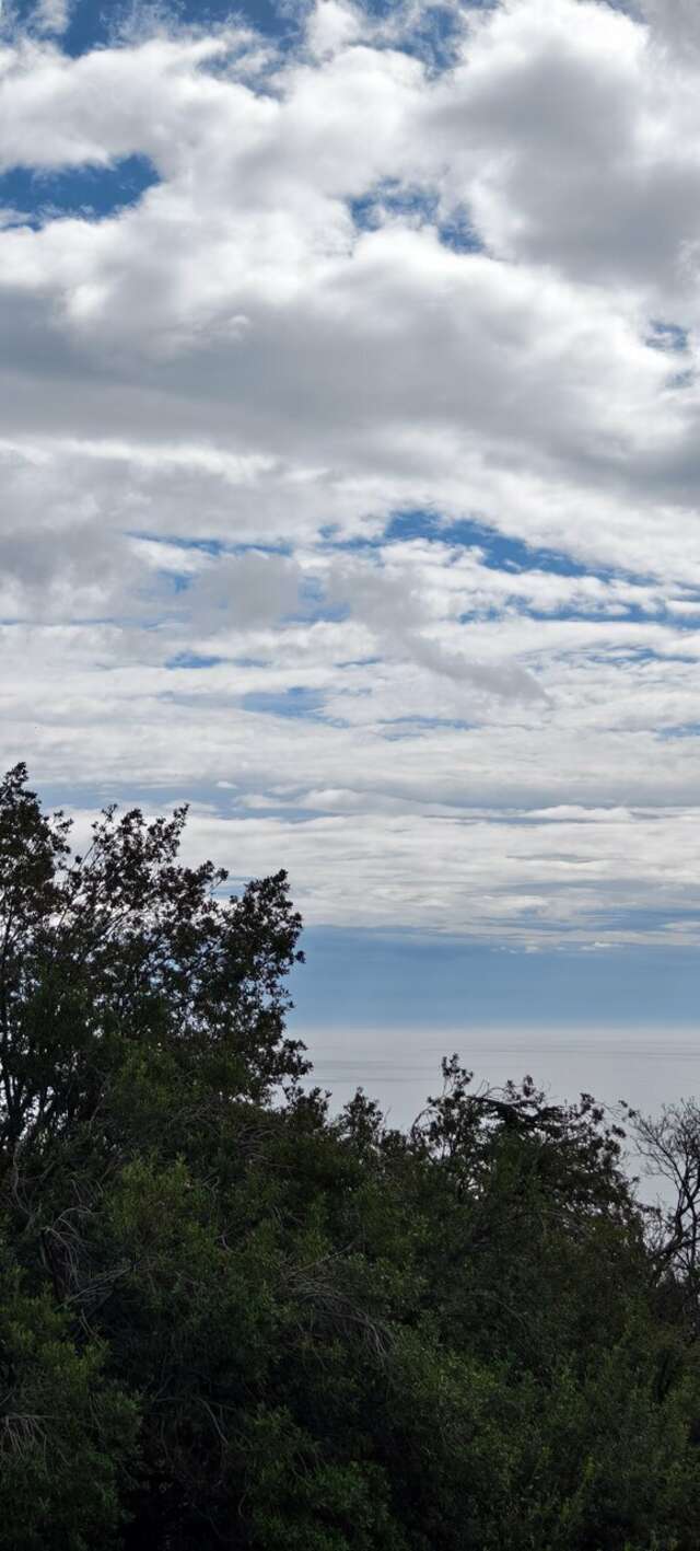 Гостевой дом Онейро Алупка-248