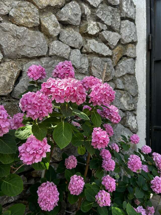 Гостевой дом Онейро Алупка-208